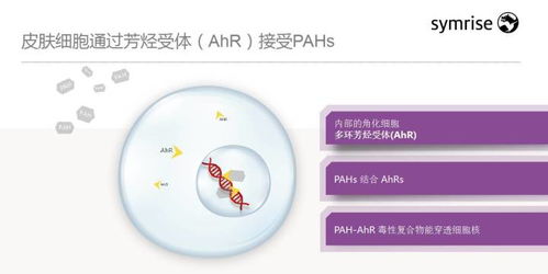 技術(shù)賦能 智美未來(lái)——梅鶴祥談化妝品新科技趨勢(shì)與前瞻思考